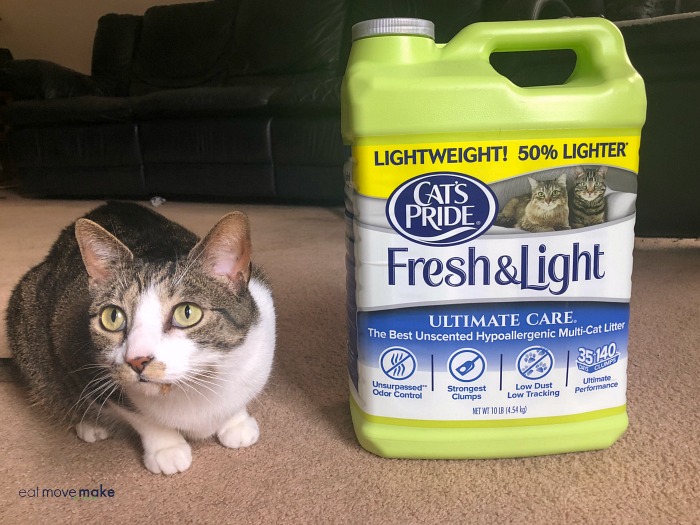 A cat sitting by cat litter box