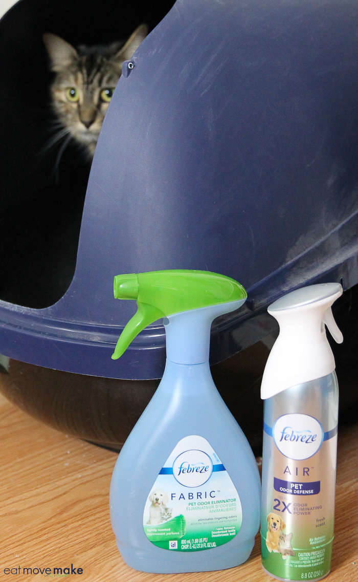 don't sweat your pet