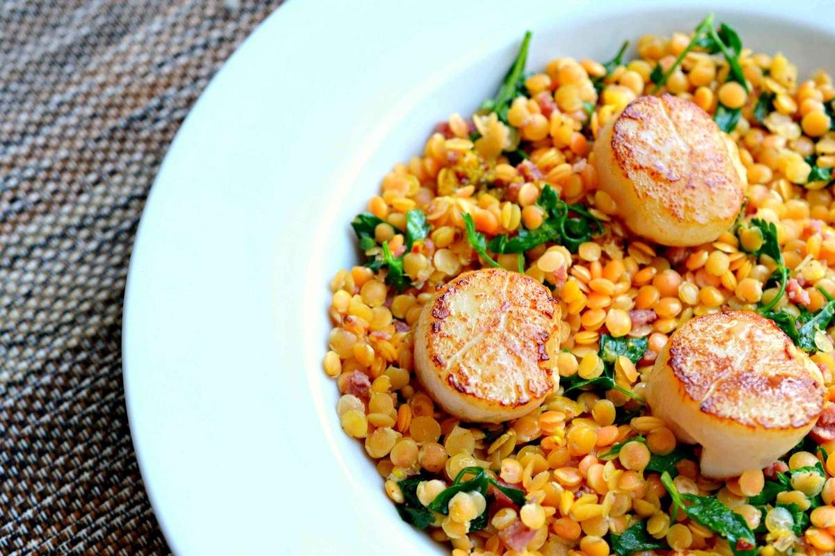 Seared scallops with lentil and chorizo salad Eat North