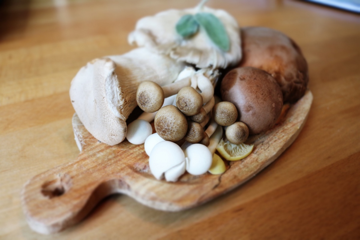 A mushroom geek’s guide to Canadian mushrooms Eat North