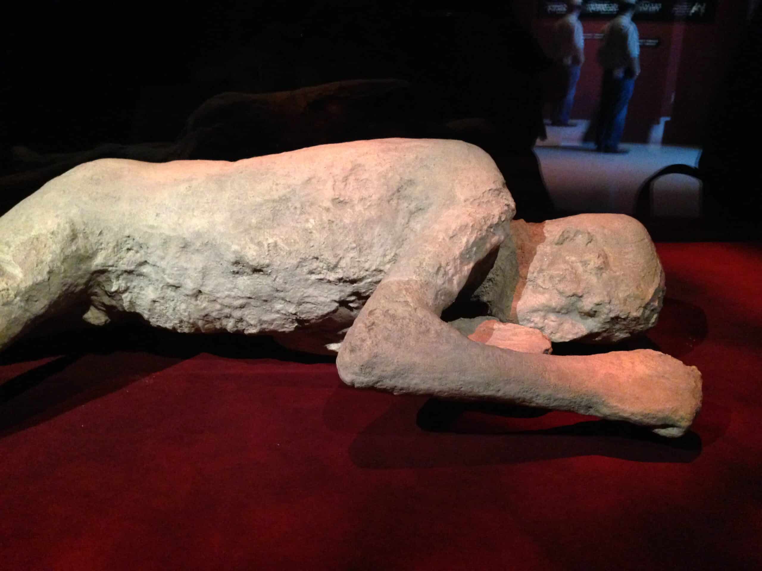 Museum Spotlight Pompeii The Exhibition. Educational Tours EA