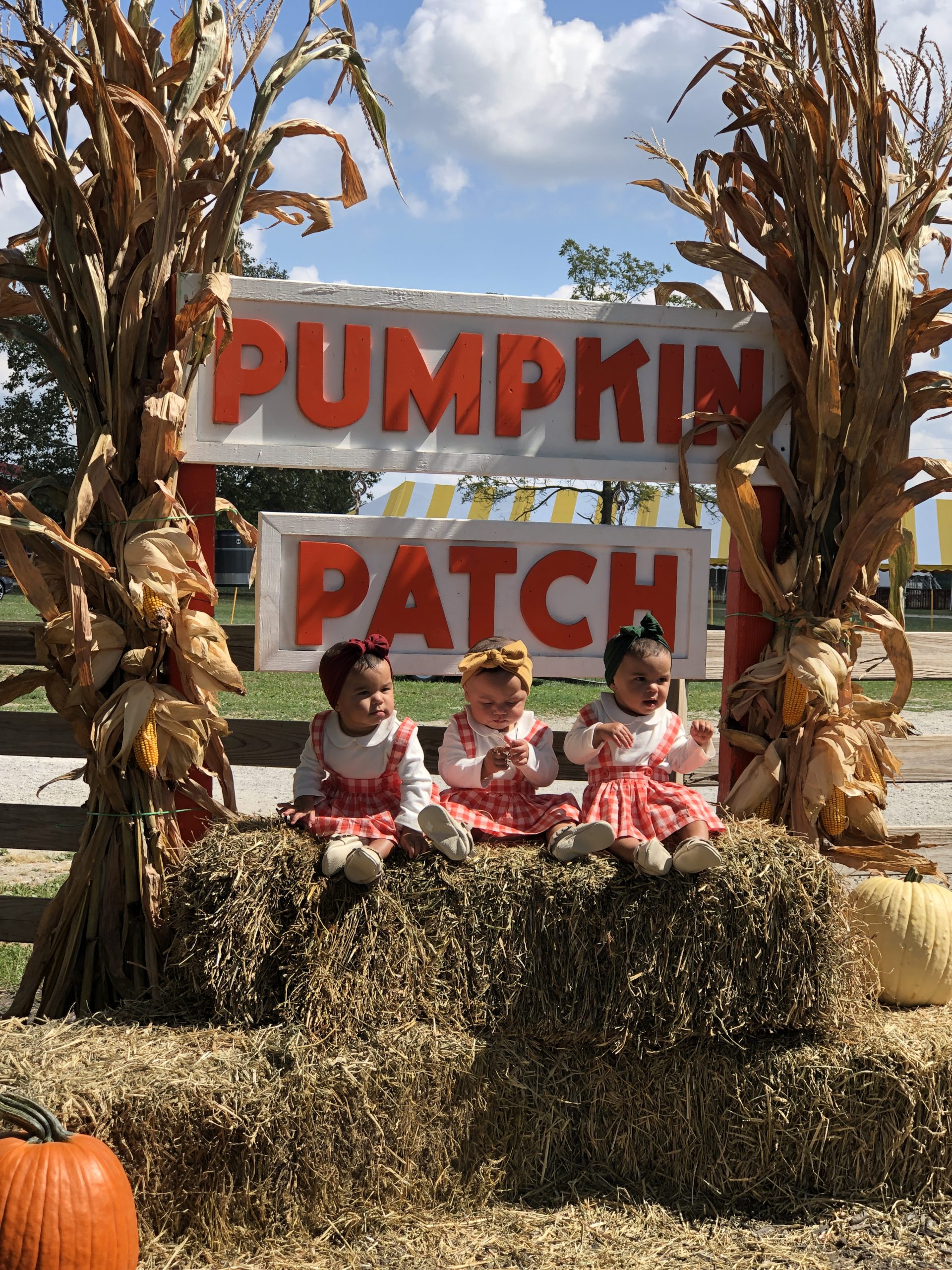 4 FamilyFriendly Pumpkin Farms around Central Ohio Eat Play CBUS