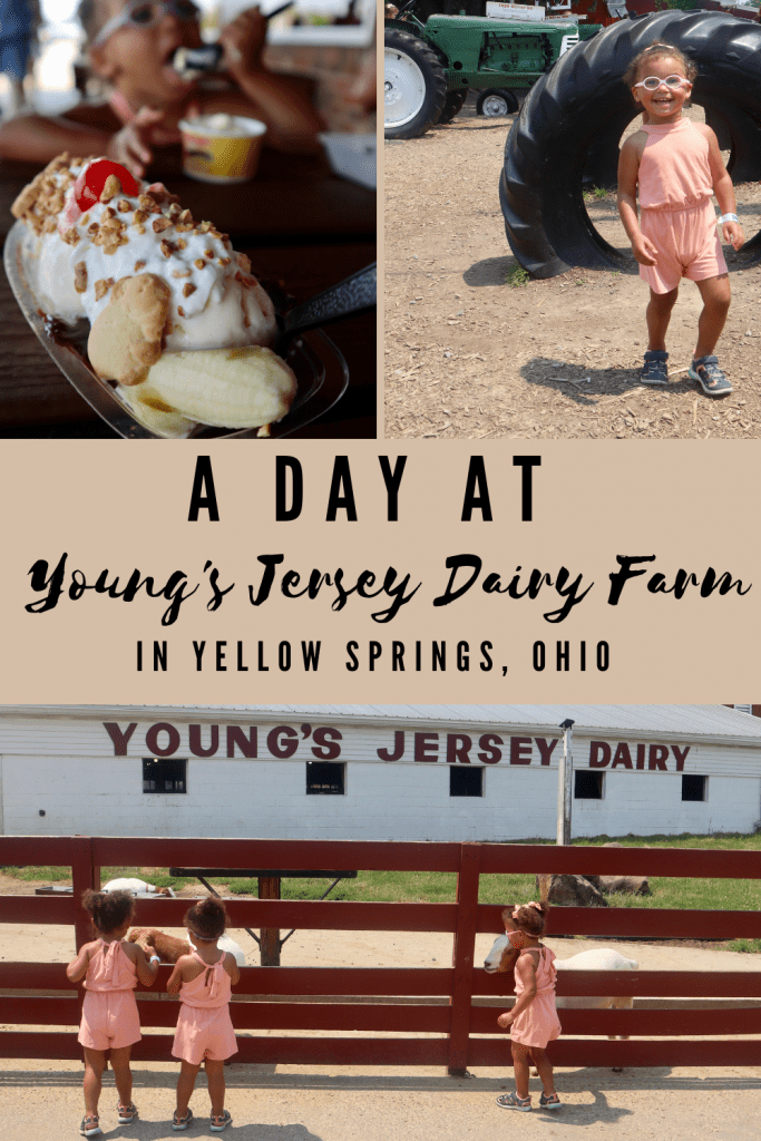 A Day at Young's Jersey Dairy Farm Eat Play CBUS
