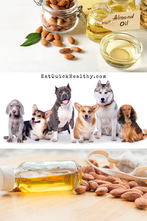 Is Almond Oil Safe For Dogs? For Food, Dog Skin & More Eat Quick Healthy
