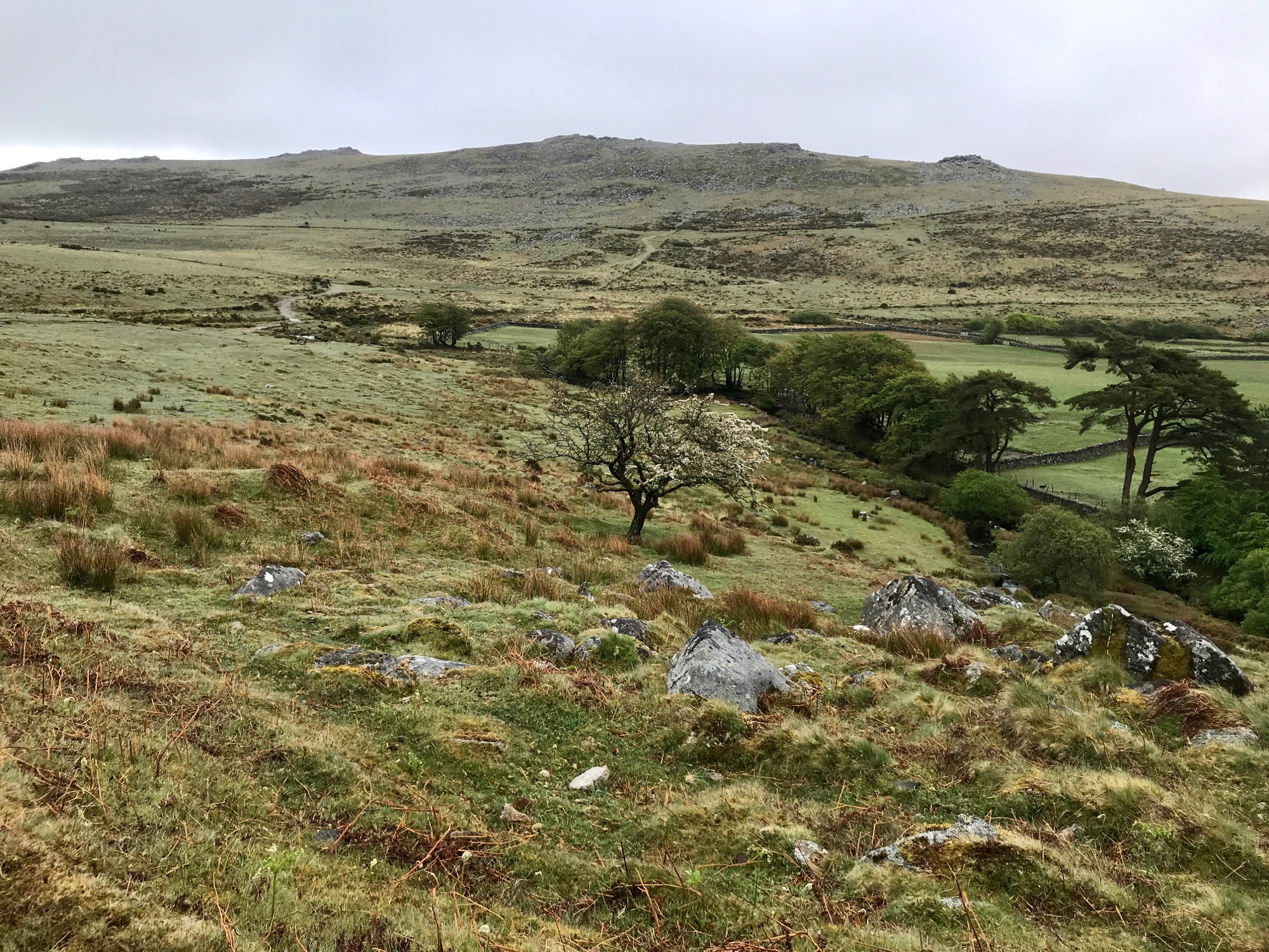 Dartmoor Wild Camping Belstone and Okehampton Common Eat Sleep Wild