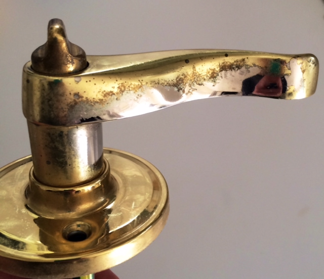 Costco and Door Knobs Eat Swim Bike and Run