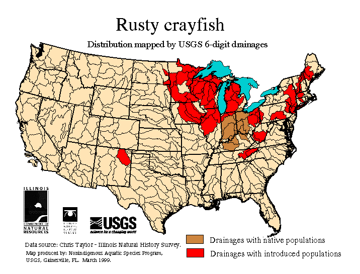 American Freshwater Crayfish Wisconsin Map Crayfish