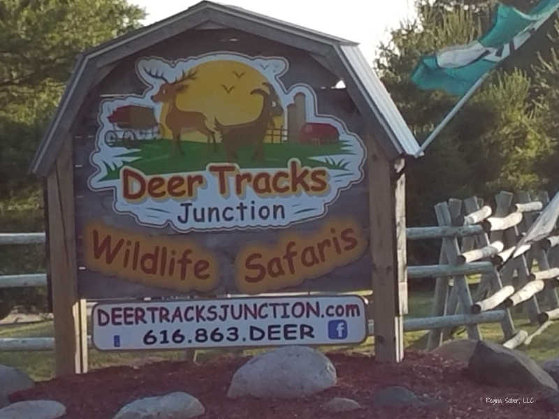 Fun Things to Do with Kids in Greater Grand Rapids Michigan