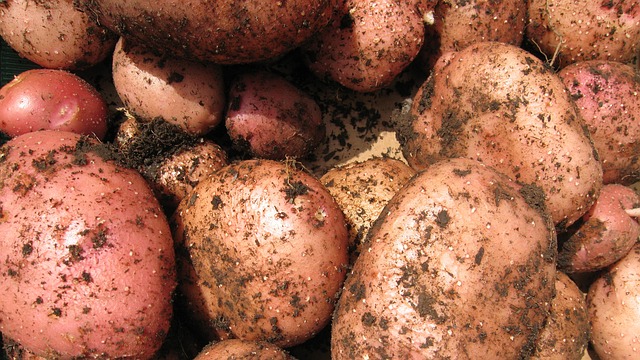 potatoes533577_640 Eat Well on a Budget