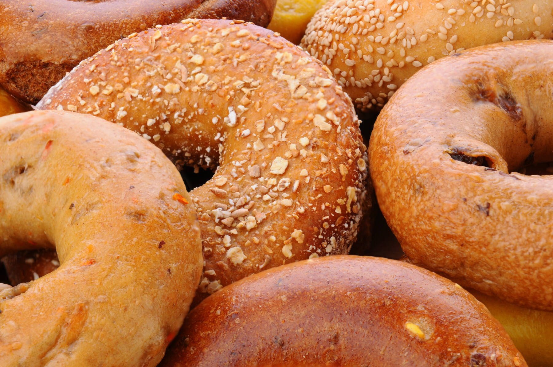 All About Bagels Eat Wheat
