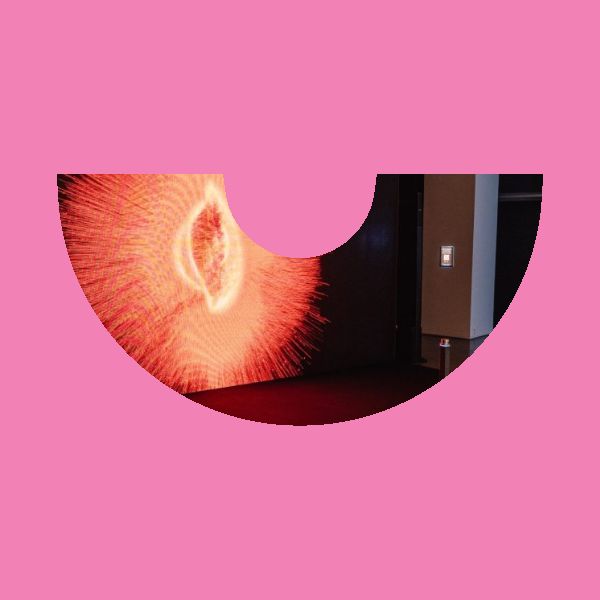 ‘O que não se vê’ é a nova exposição interativa da Japan House Eat your nuts