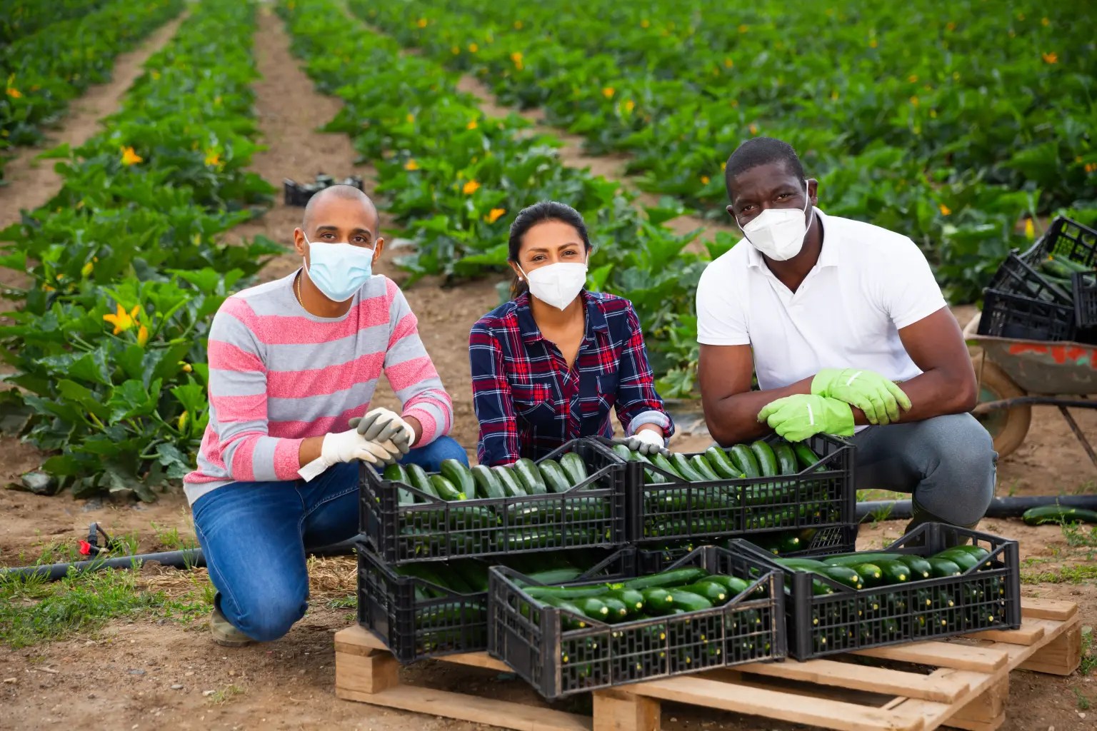 EB3 Jobs in the U.S. Apply for the EB3 Unskilled Worker Visa Labor