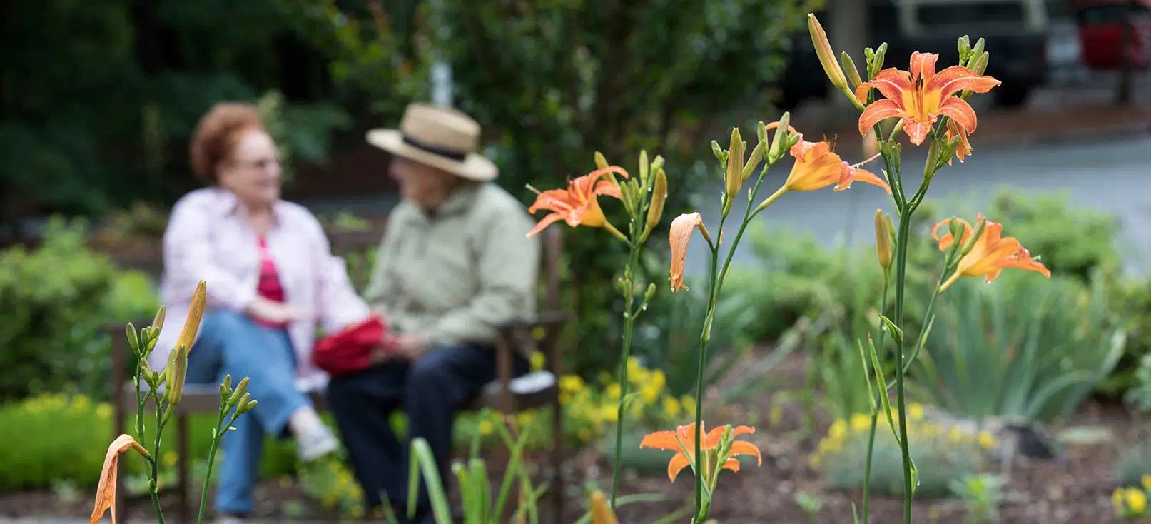 About Simpson Estates at Wesley Mountain Village Wesley Woods