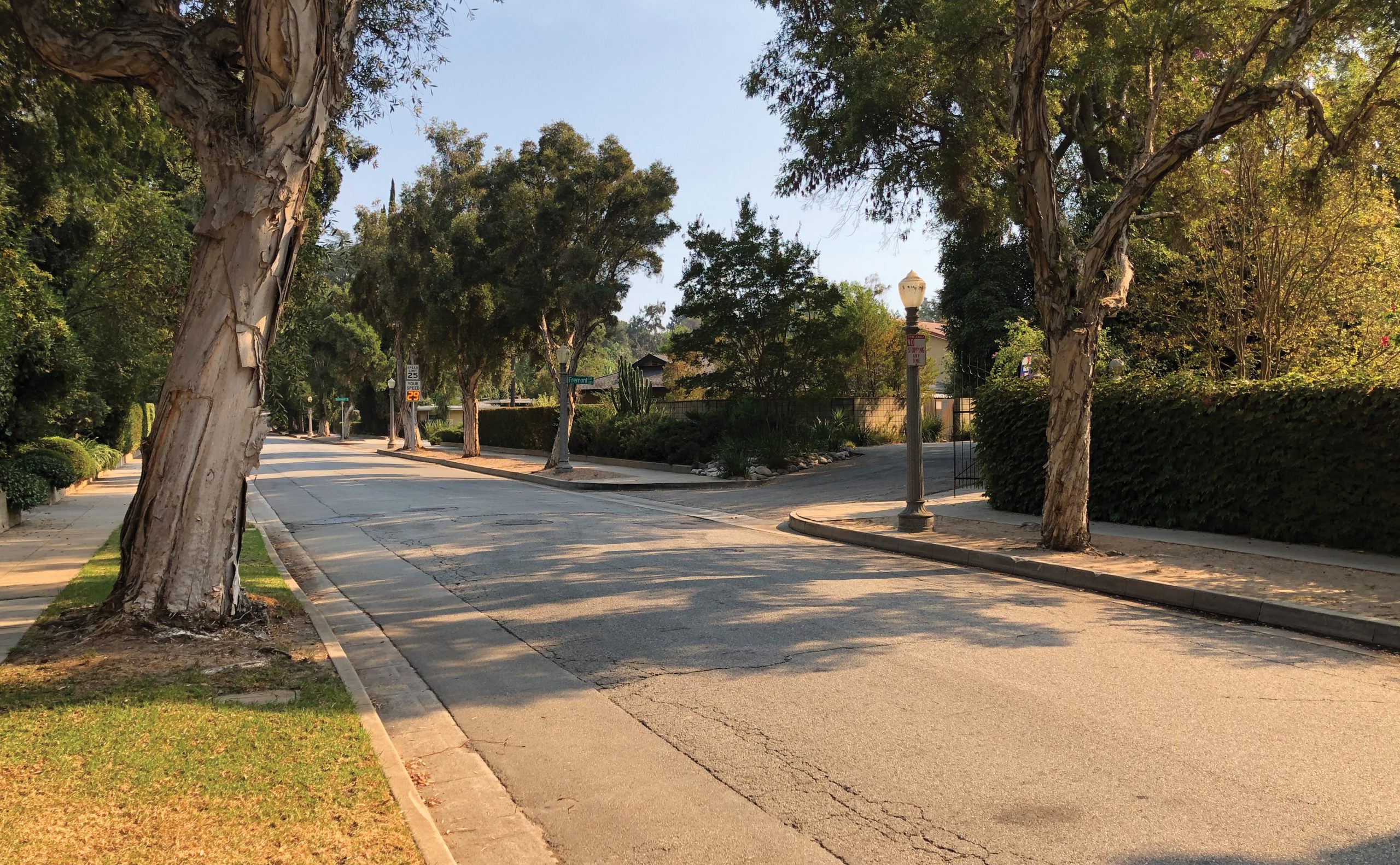 Rosemont Avenue Complete Streets Feasibility StudyCity of Pasadena, CA