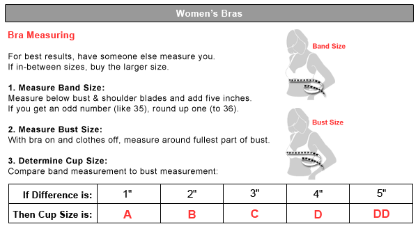 HANES Everyday Classic Underwire Bra 2 Pack H446 eBay