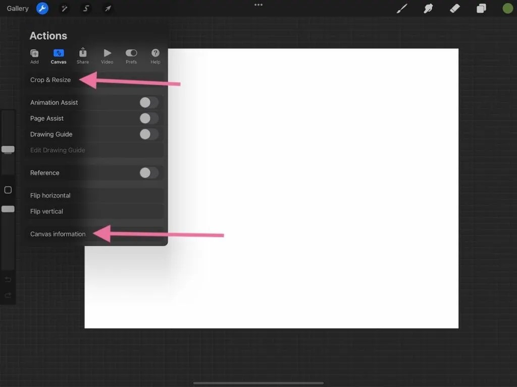 The Best Canvas Size for Procreate Ebb and Flow Creative Co
