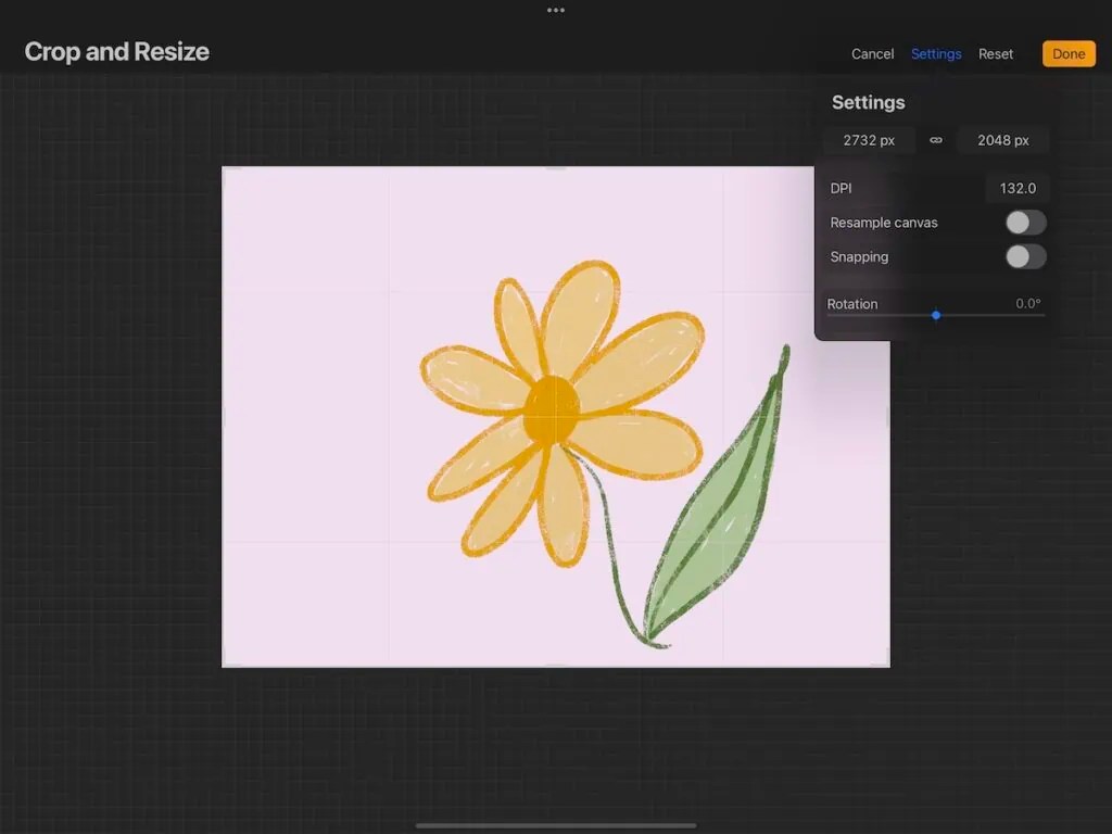 The Best Canvas Size for Procreate Ebb and Flow Creative Co