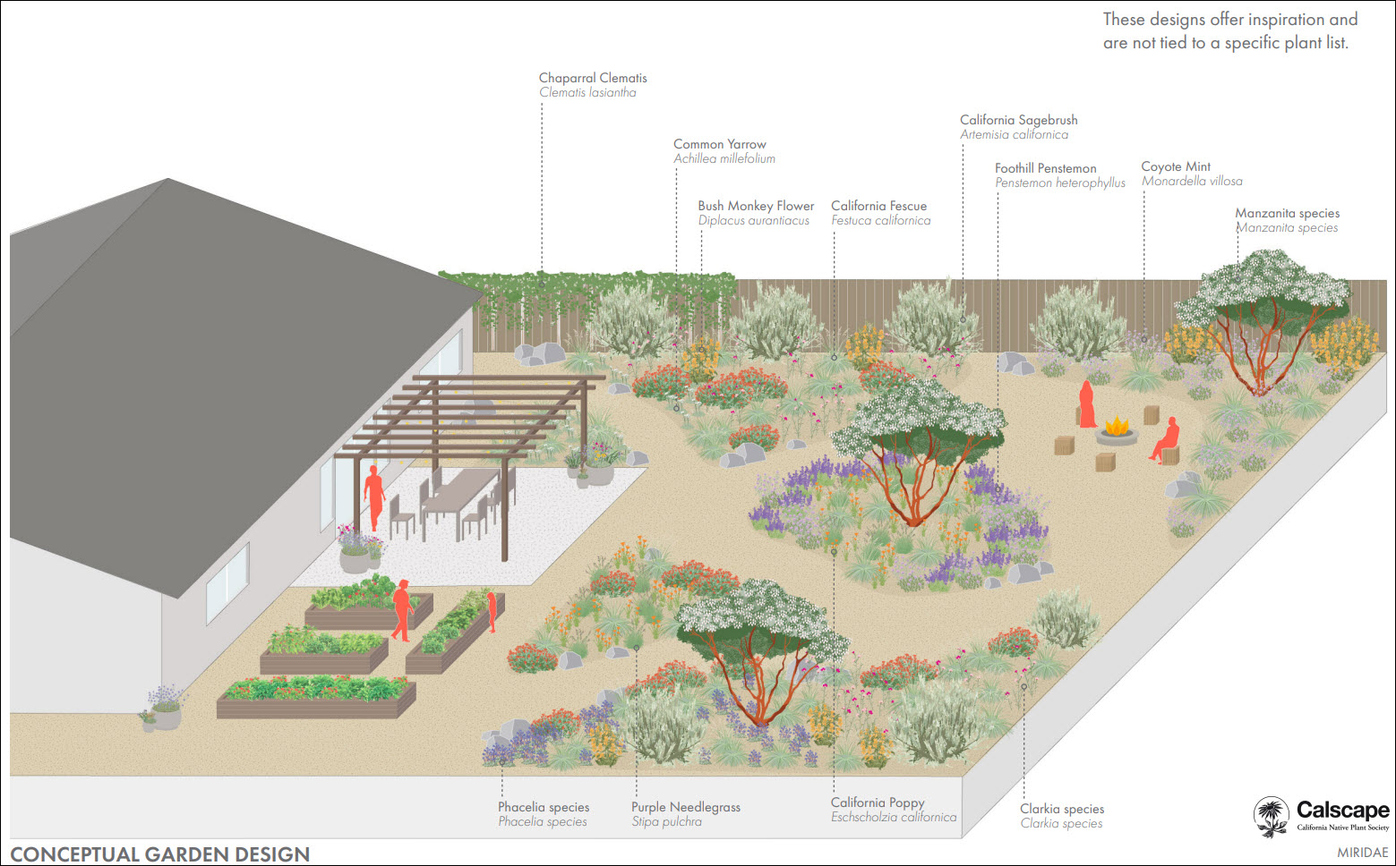 Online Tools to Help You Create a Native Plant Garden