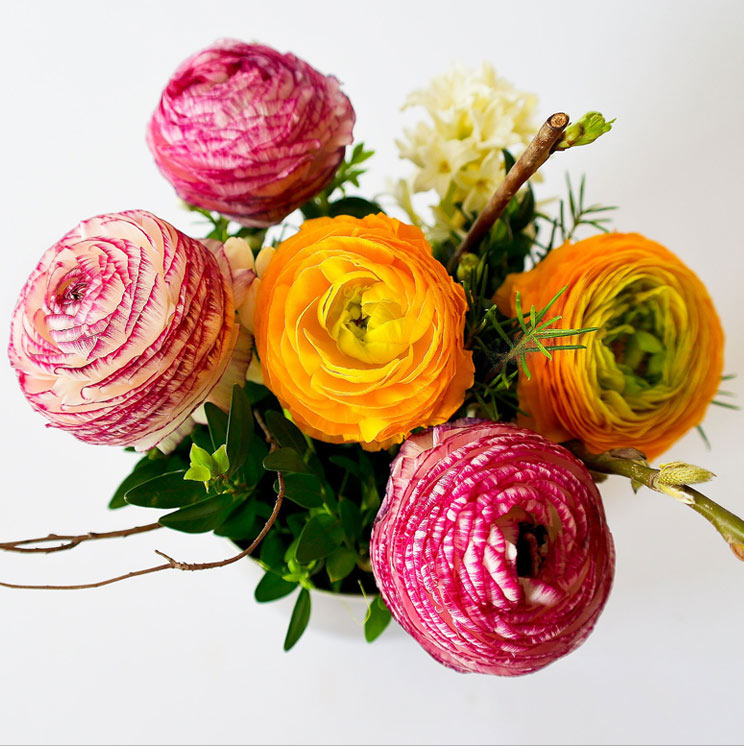 Start Home Care Services with Ebenezer Ebenezer Home Care