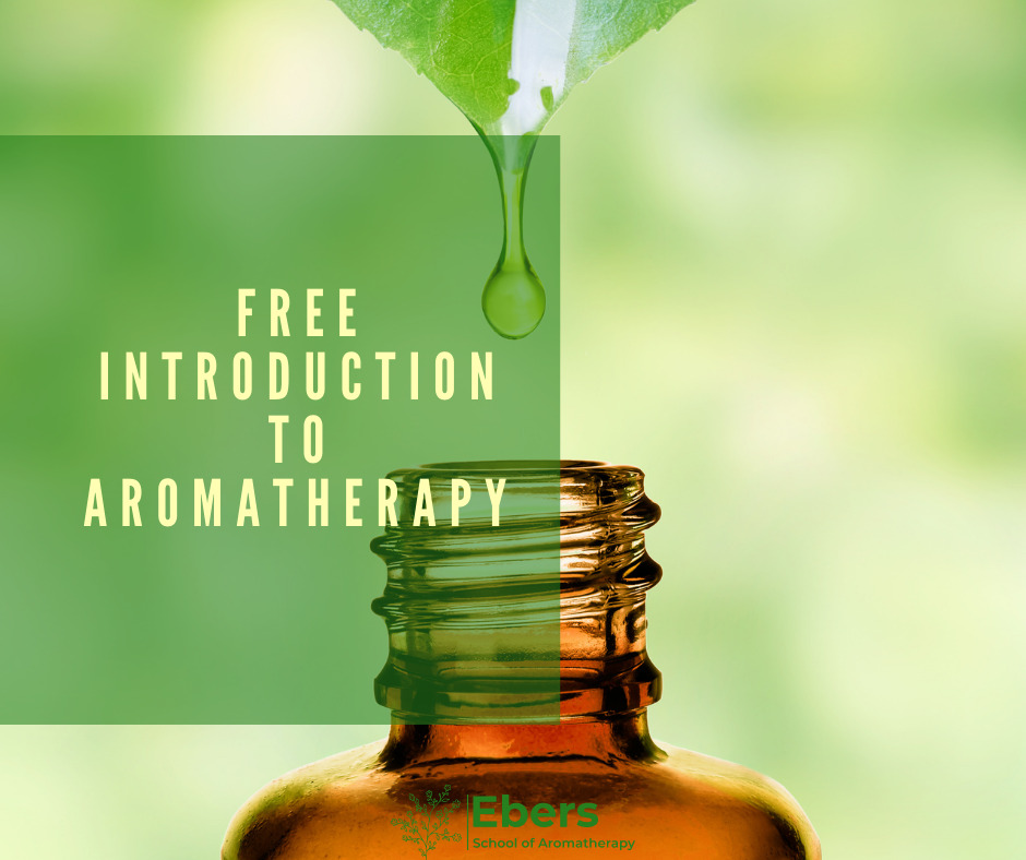 Free Introduction to Aromatherapy — Ebers School Of Aromatherapy