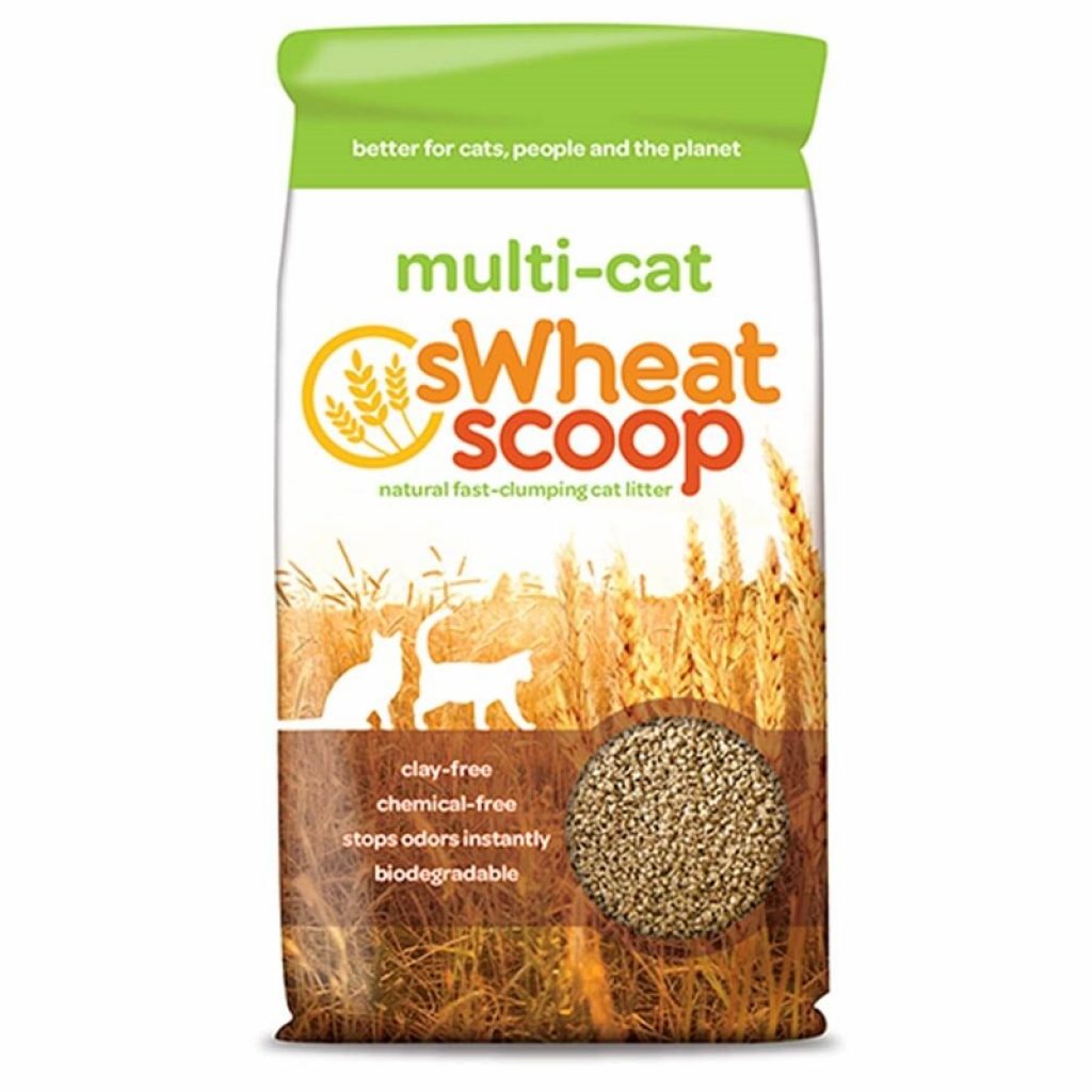 Best Clumping Cat Litter for Single and Multiple Cats Unscented, Dust free