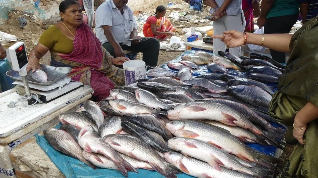 Best Fish Market in BhubaneswarPlace and Location. eBhubaneswar