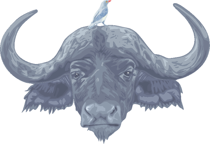 牛（ウシ） - パブリックドメインQ：著作権フリー画像素材集 頭に小鳥を乗せた水牛のイラスト | コピペできる無料イラスト素材展