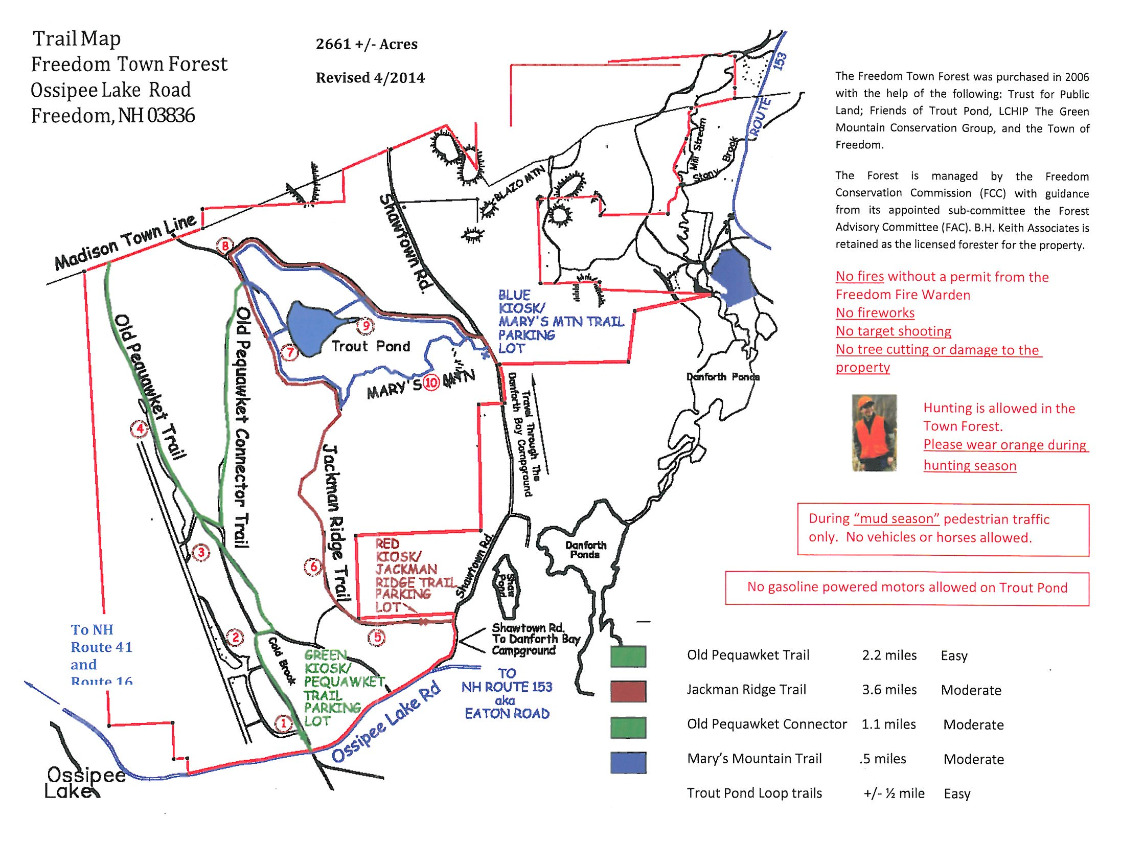 Freedom Town Forest eBird Hotspots