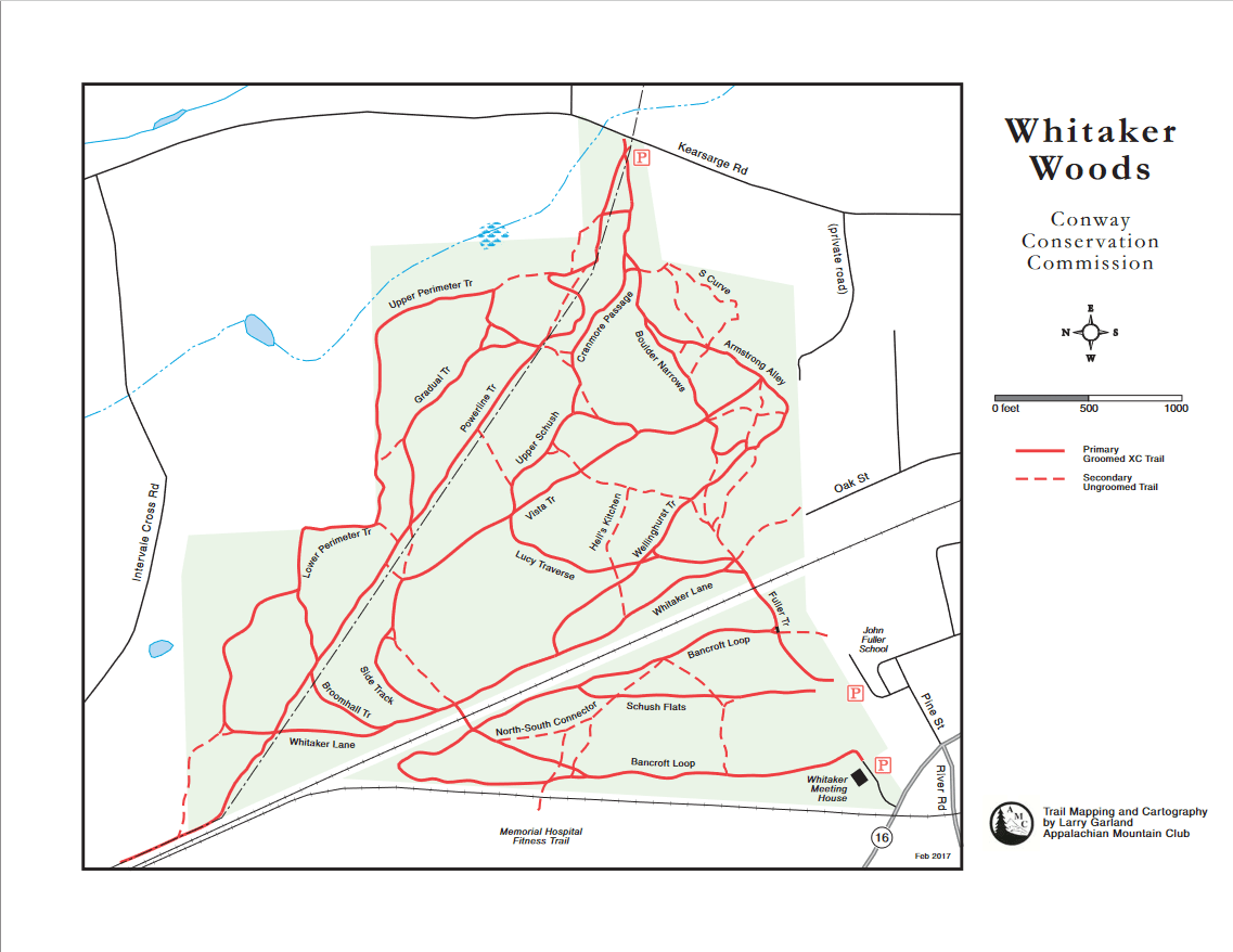 Whitaker Woods, North Conway Birding Hotspots