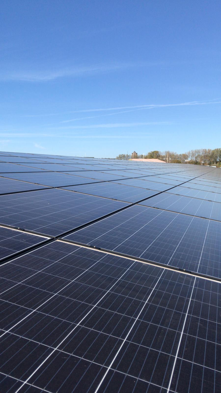 Libra Energy - eBirds