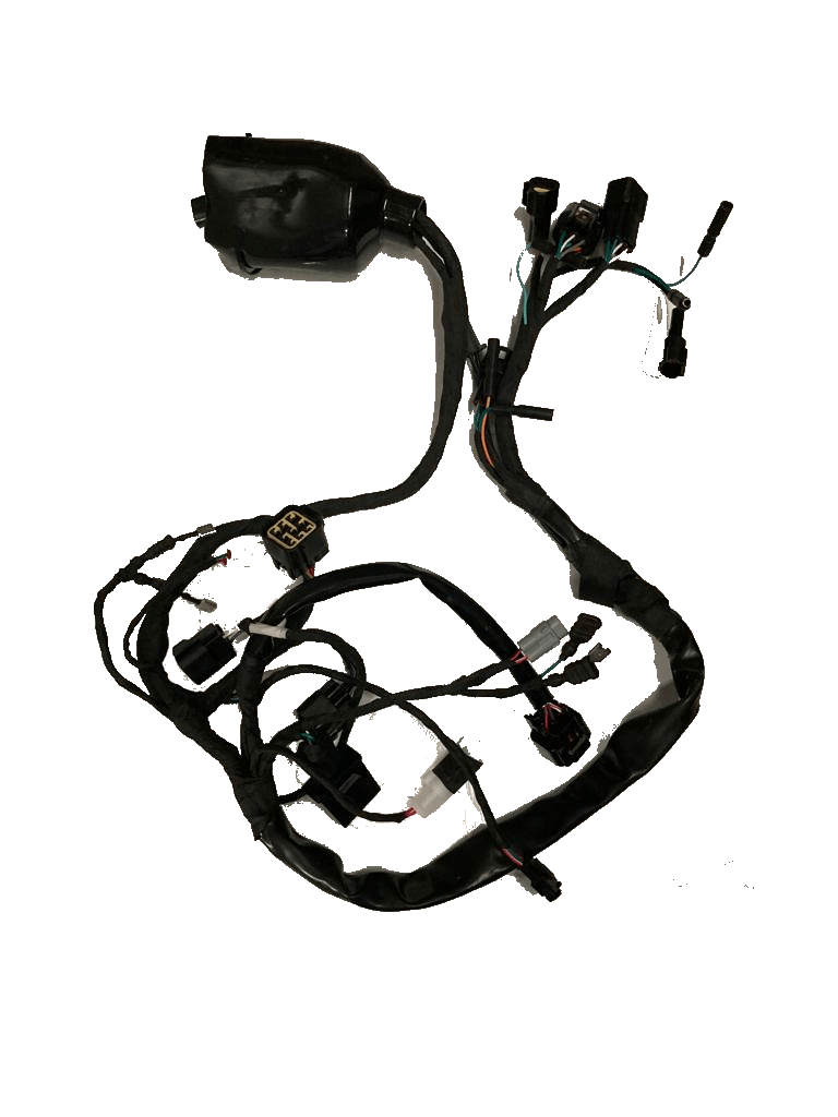 SurRon LBX Wiring Harness EBMX Pty Ltd