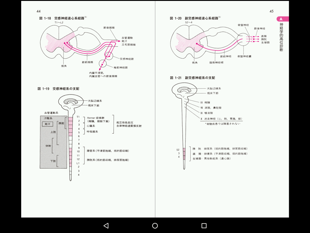 電子書籍版｜脊椎脊髄ハンドブック 第3版 M2PLUS