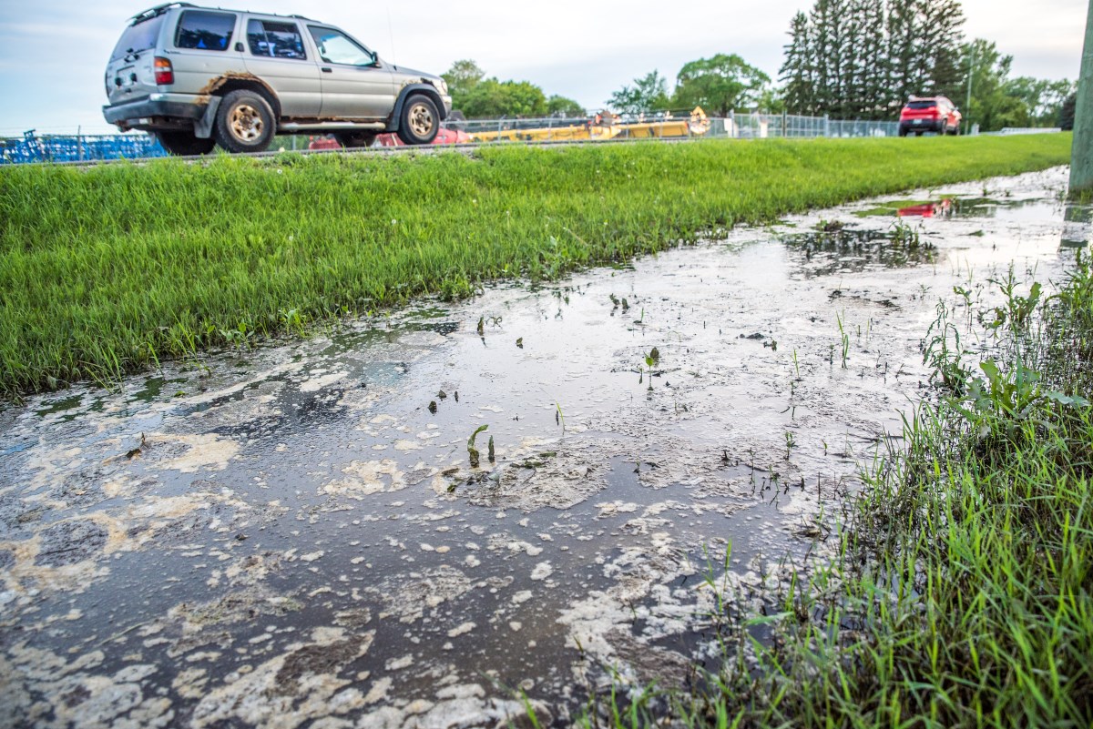Updated Skyhigh weekend trap counts trigger plans to mosquito fog