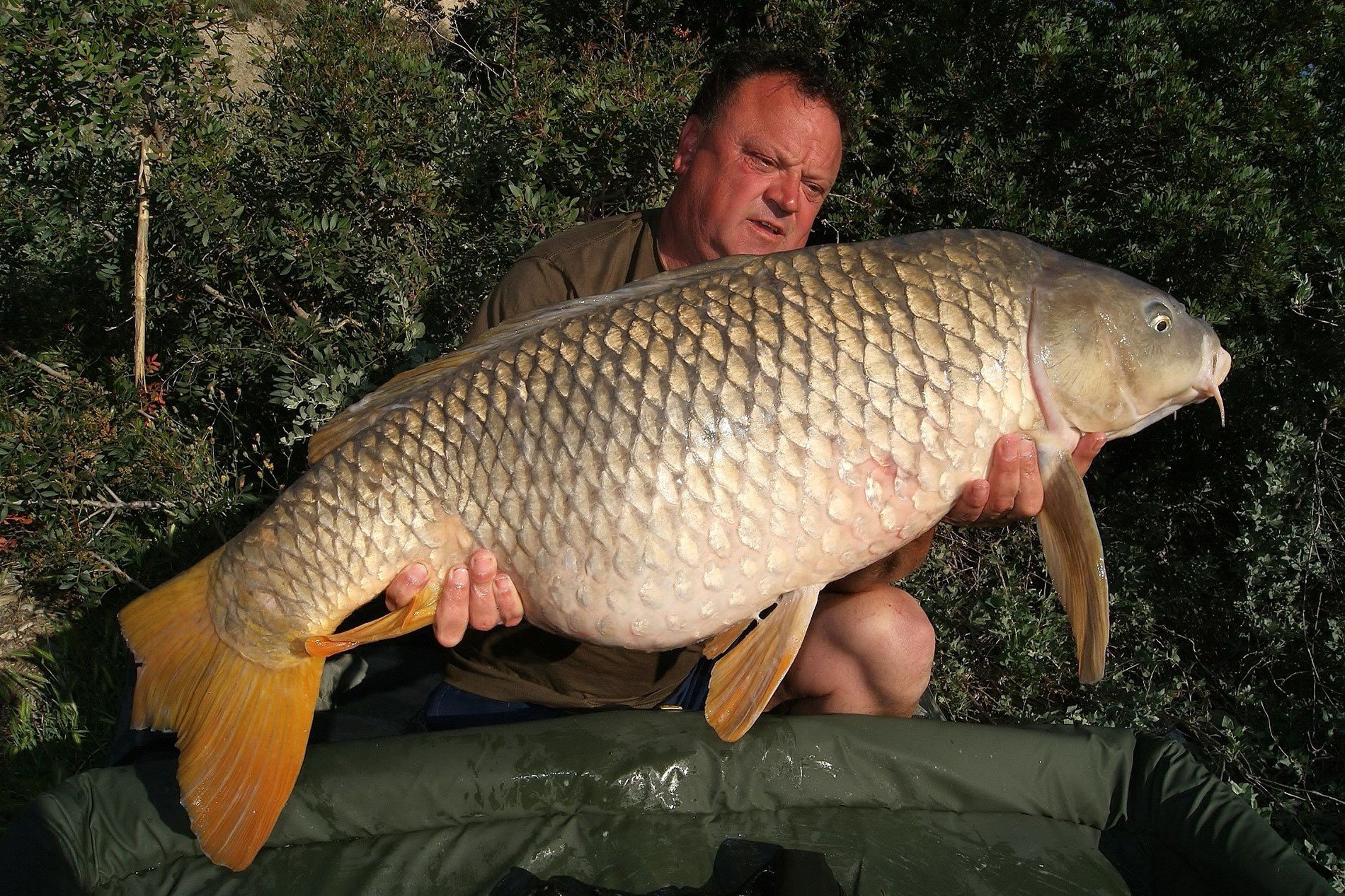 River Ebro Carp Tours Ebro Expert