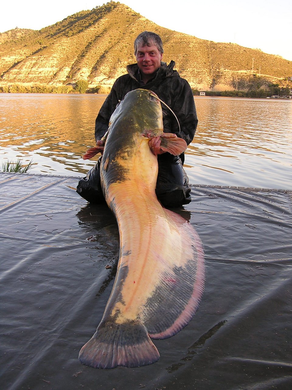 River Ebro Catfish Tours Ebro Expert