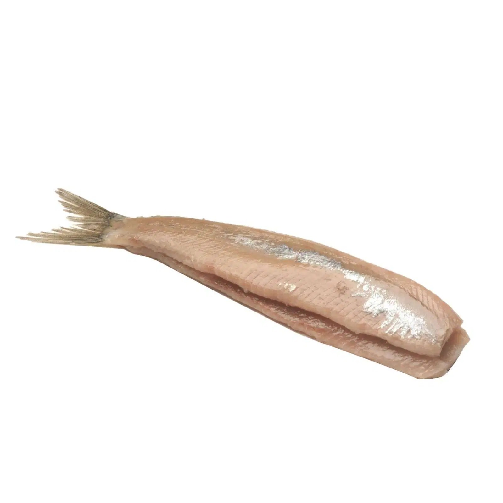 Buy Dutch Herring Fillet Online Hong Kong