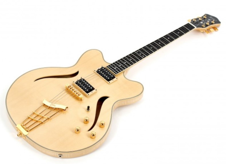 Top 8 Best German Guitar Brands That Musicians Love eBusinessware