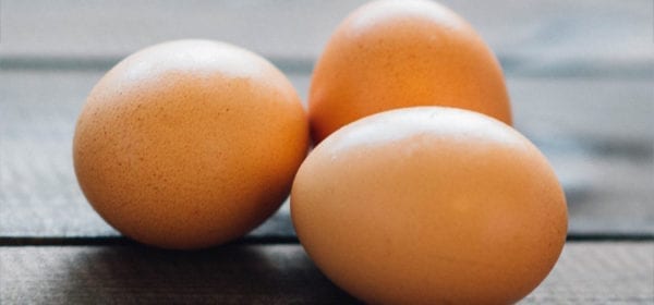 EBV and Eggs What You Need to Know about Eggs if you Have EBV EBV