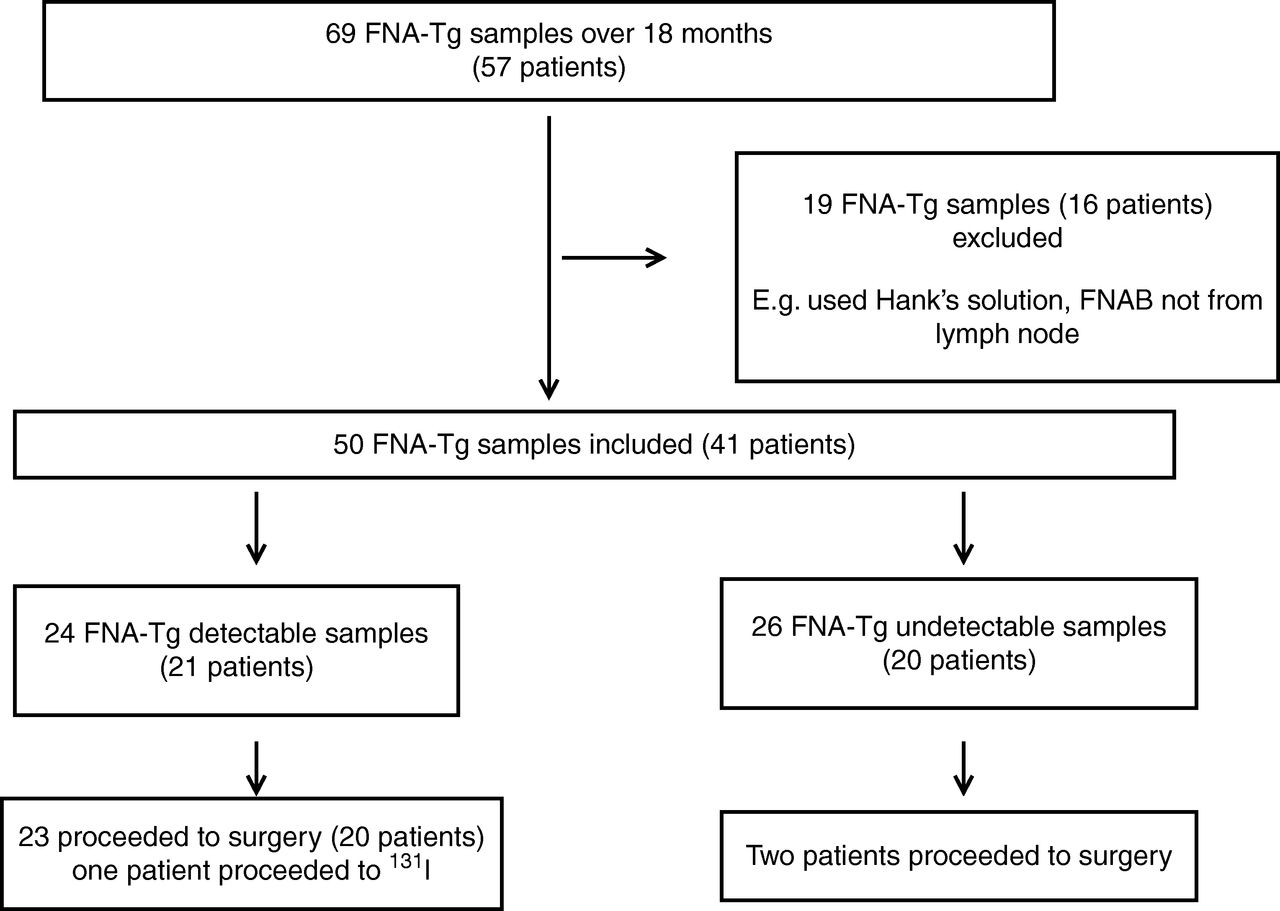 Thyroglobulin Levels Chart: A Visual Reference of Charts | Chart Master