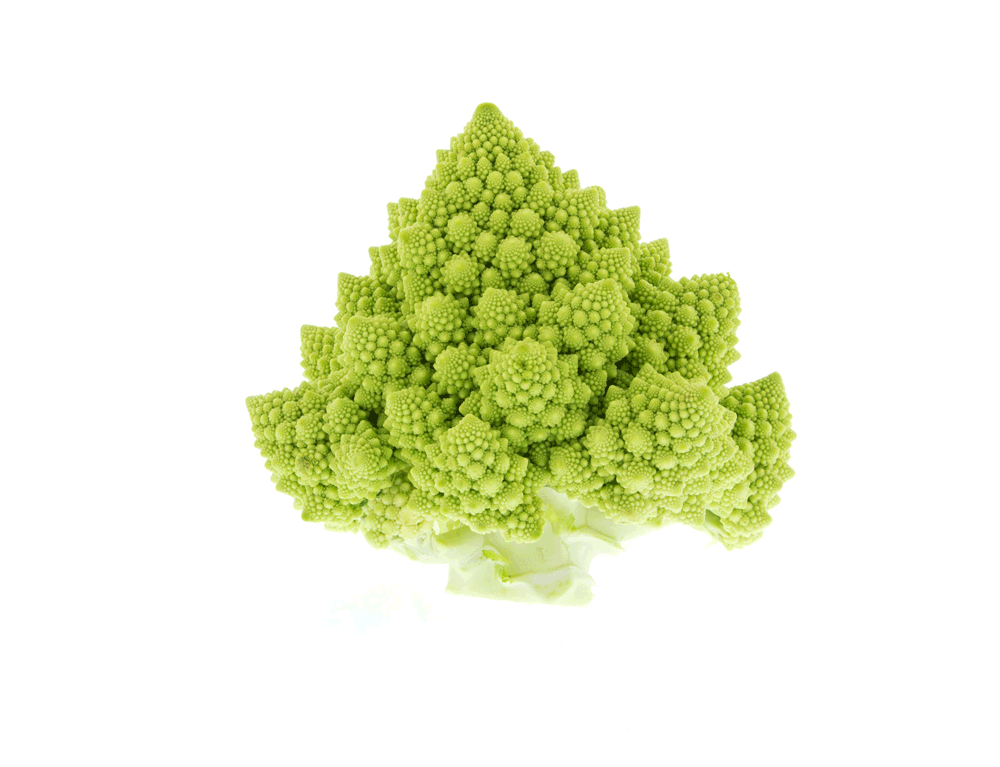 romanesco EC360（イーシー・サンロクマル）