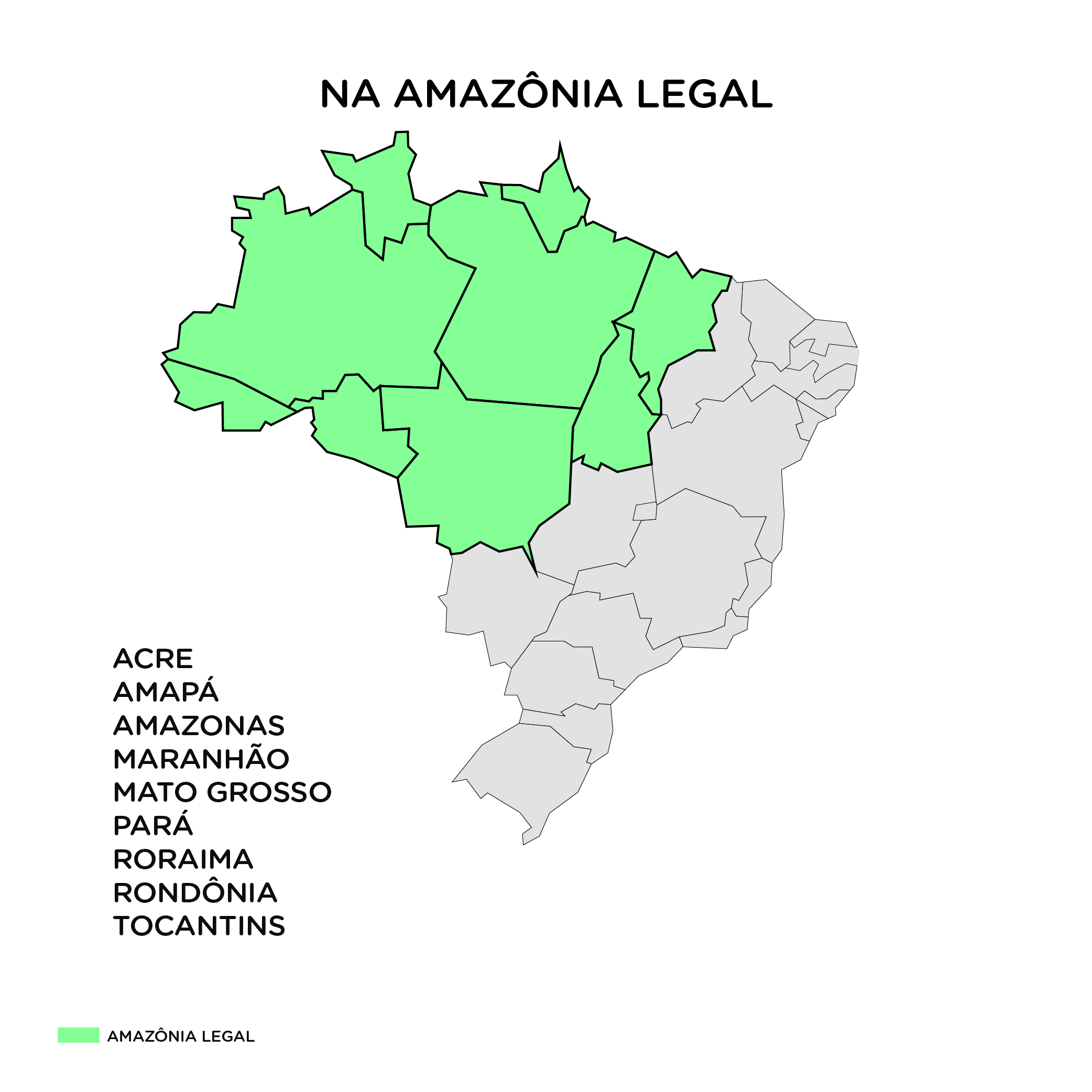 Amazônia Legal e a atuação do Compartilhando Mundos Ecam