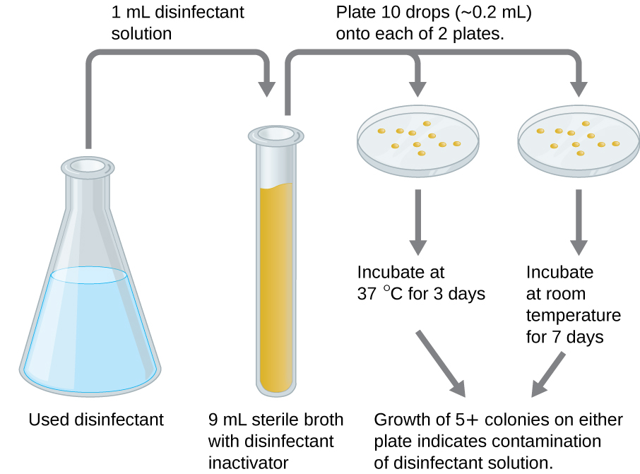 14.4 Testing the Effectiveness of Antiseptics and Disinfectants