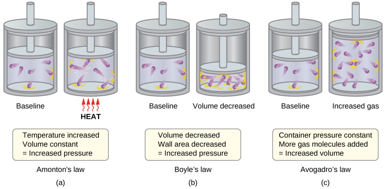 2.6 Theory of Gases (Ideal Gas Behaviours