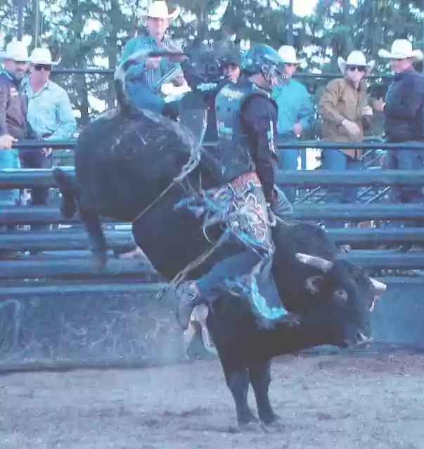 Elnora Brahma Rama 2023 ECA Review