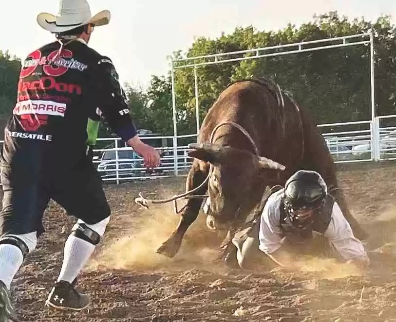 Halkirk Elks 27th Annual Bullarama 2023 Photo Gallery ECA Review