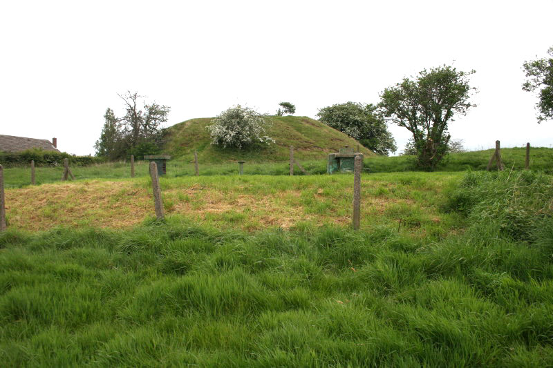 CASTLE GRESLEY (CASTLE KNOB)