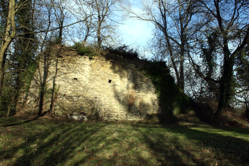 RICHARDS CASTLE