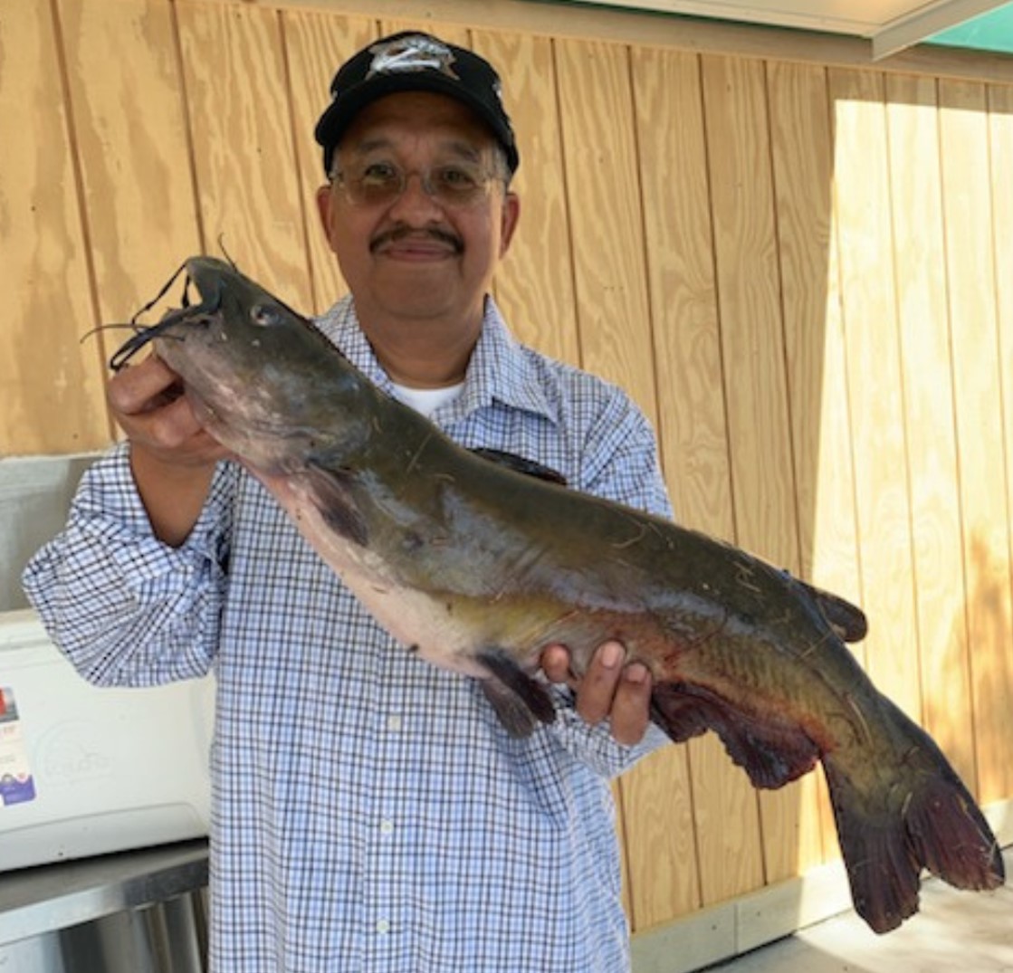 Santee Lakes to swim in catfish The East County Californian