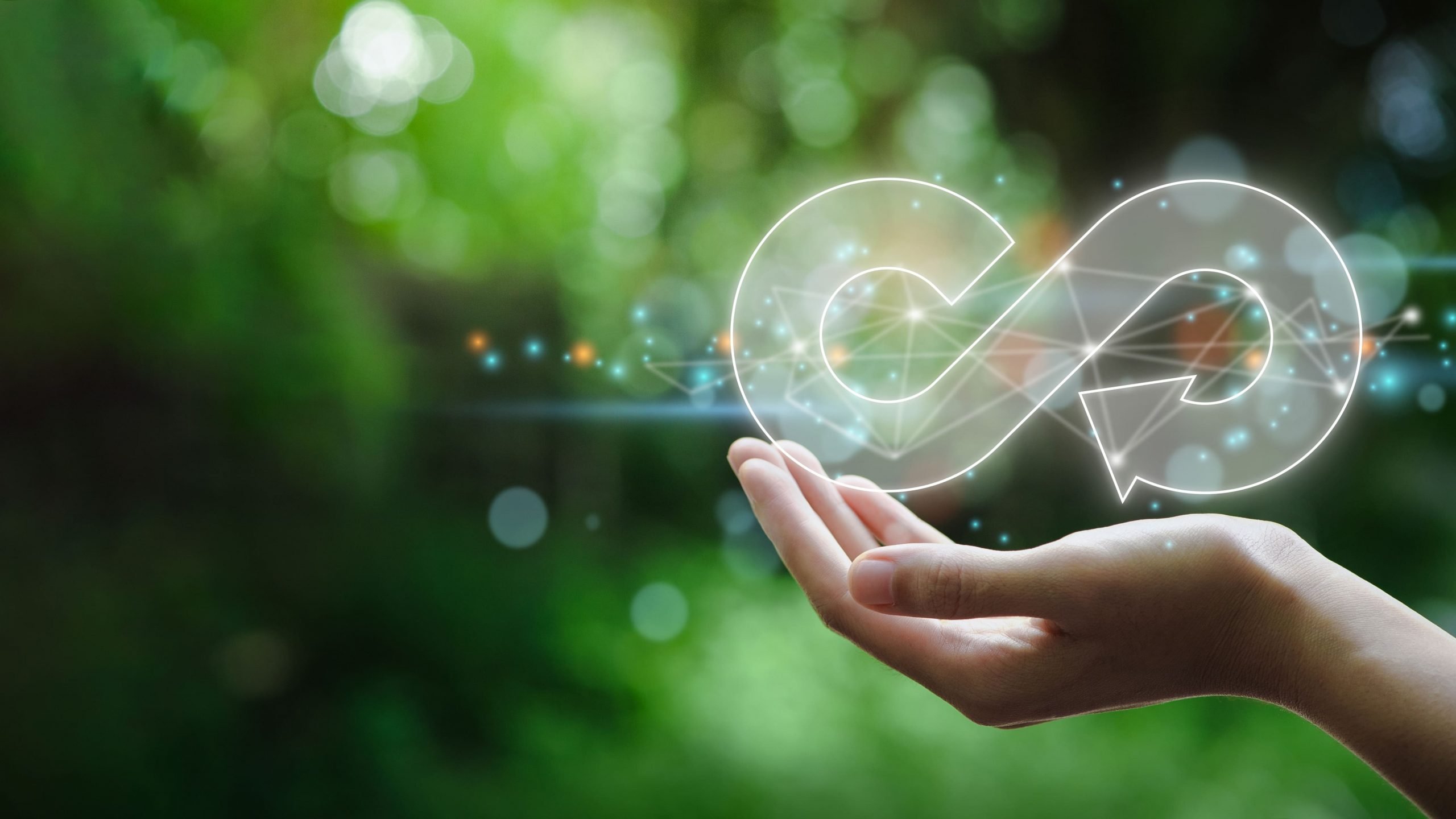 Sustainable Manufacturing Closing the Loop with a Circular Economy