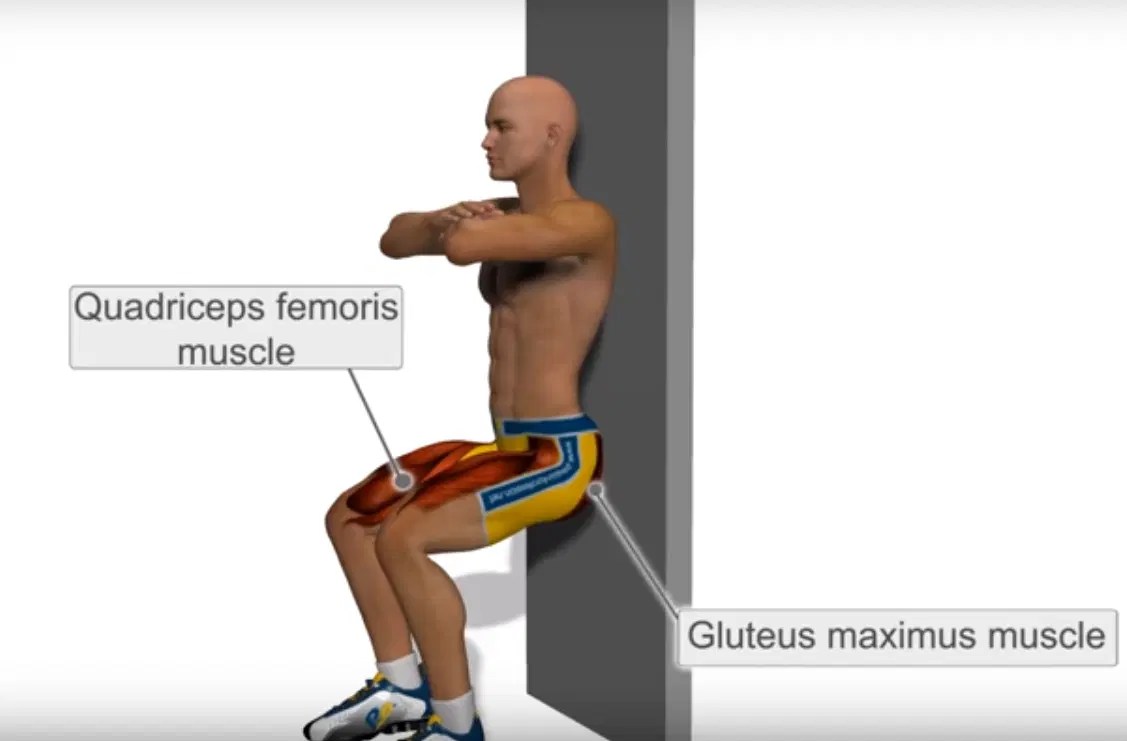 The Wall Sit Beat knee pain Physio Prescription
